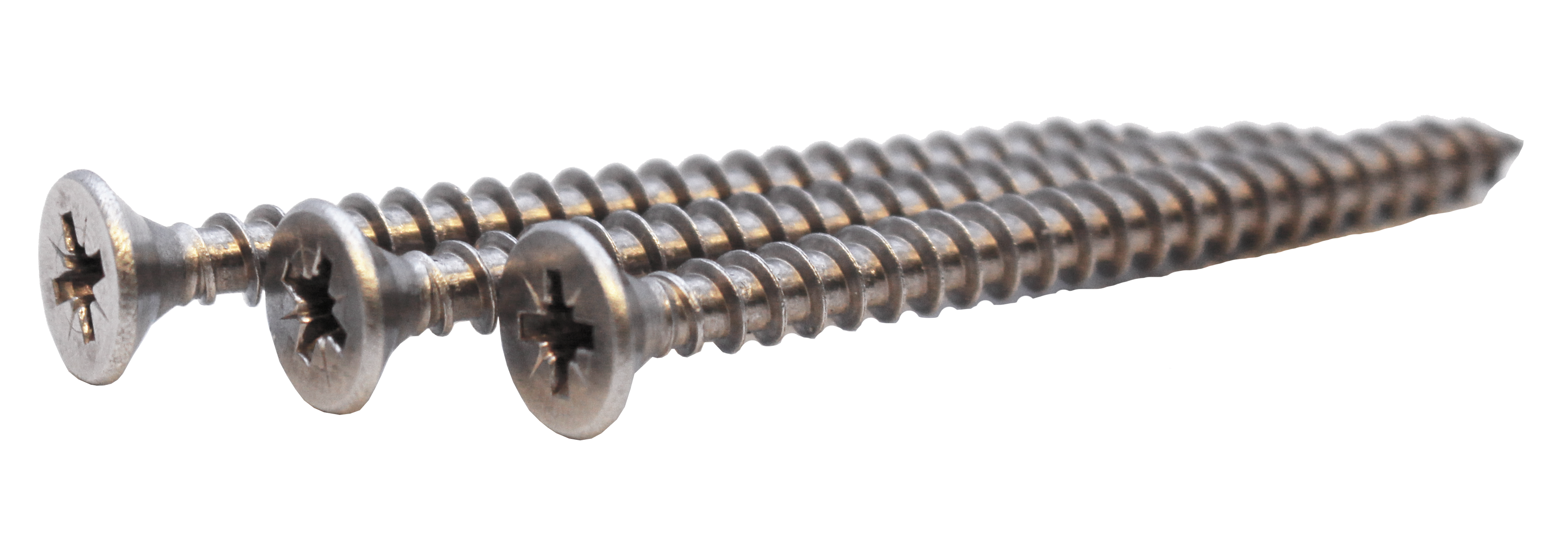 Stainless Steel Screws